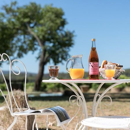 Chateau Nestuby كوتيغانس المظهر الخارجي الصورة