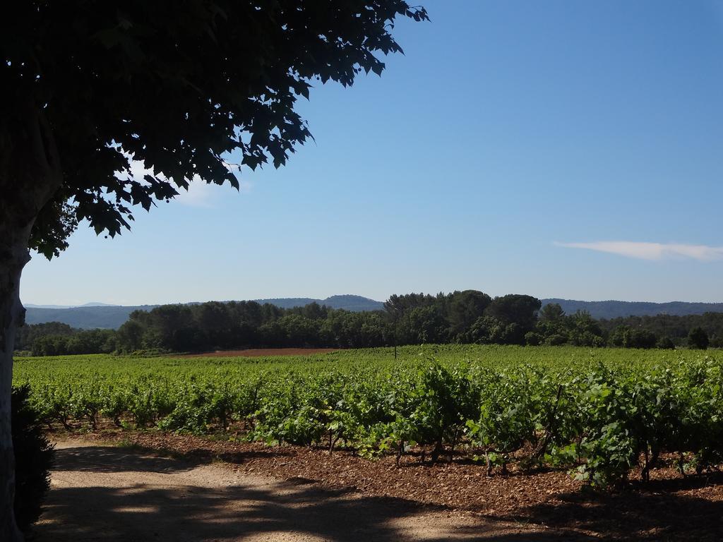 Chateau Nestuby كوتيغانس المظهر الخارجي الصورة