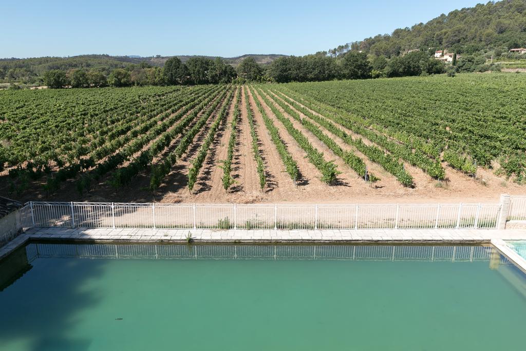 Chateau Nestuby كوتيغانس المظهر الخارجي الصورة